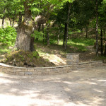 01-fontanelle